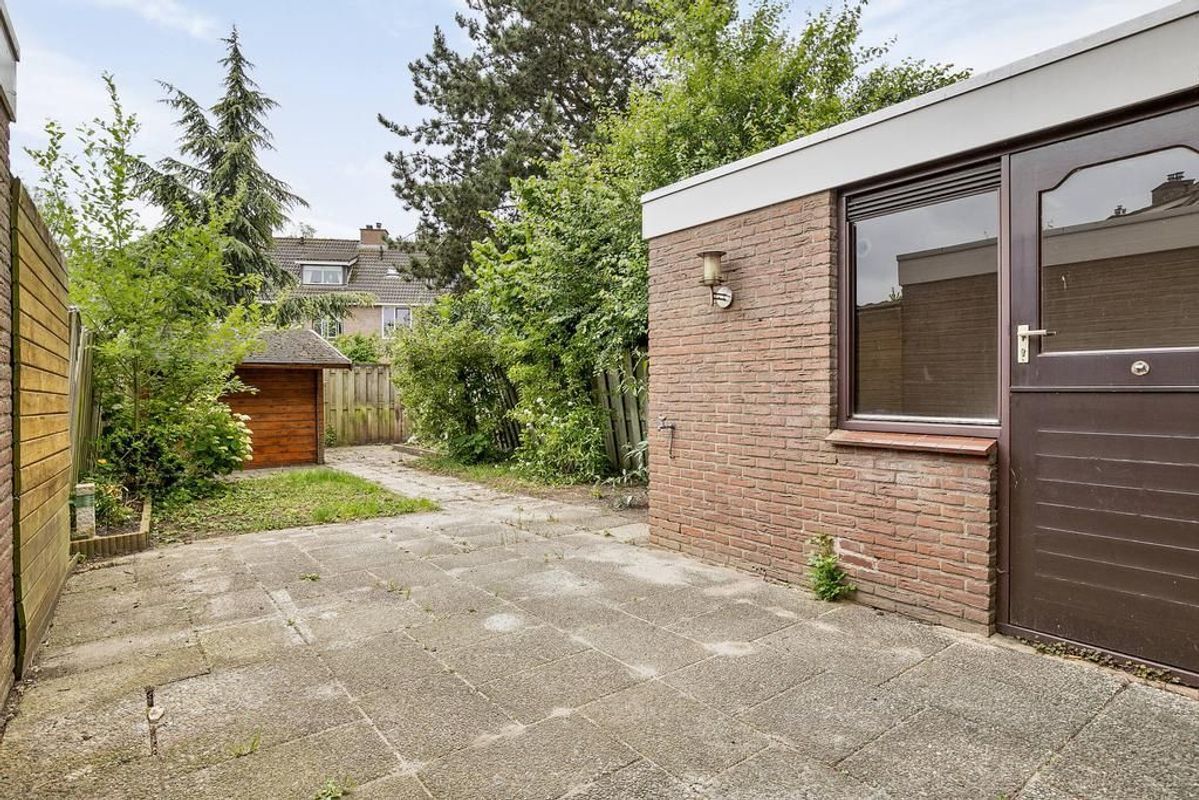 Bergeend 5 Photo 1