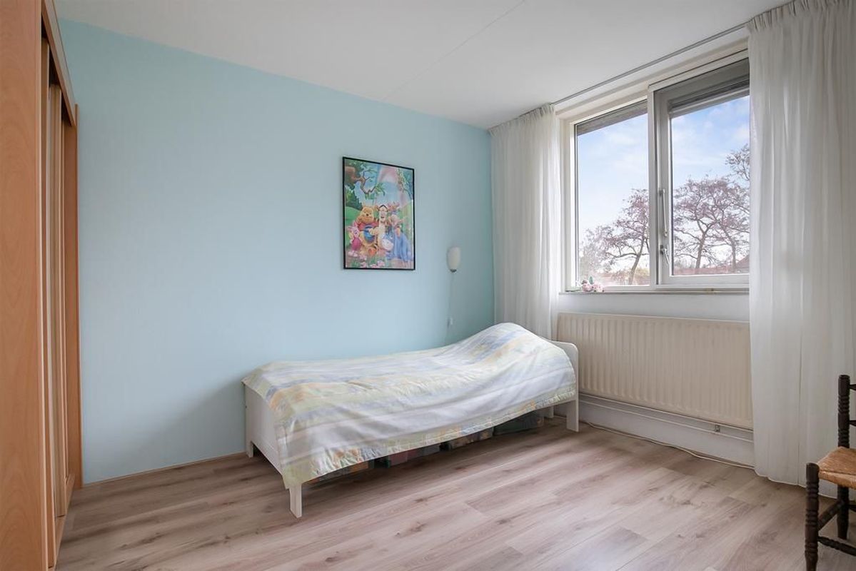 Winterkoning 21 Photo 30