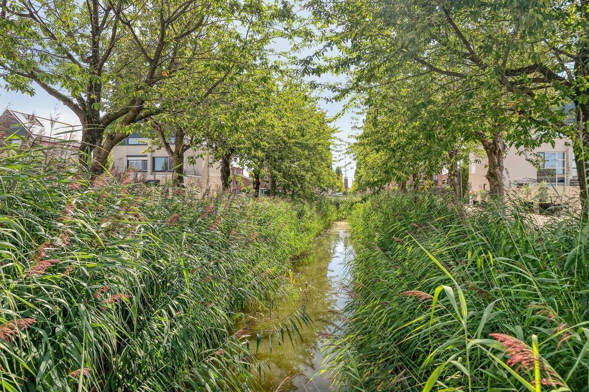 van Eedenstraat 9 Photo 32