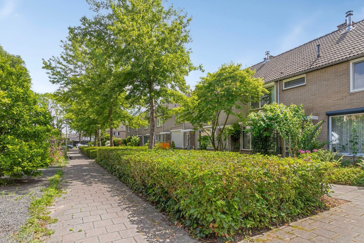 Hazelaarstraat 117 Photo 0