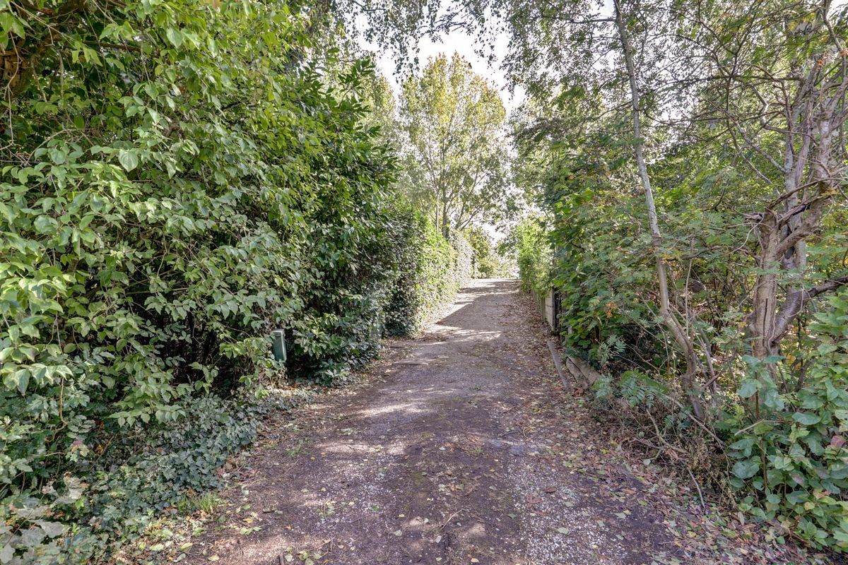 Stougjesdijk 251 Photo 4