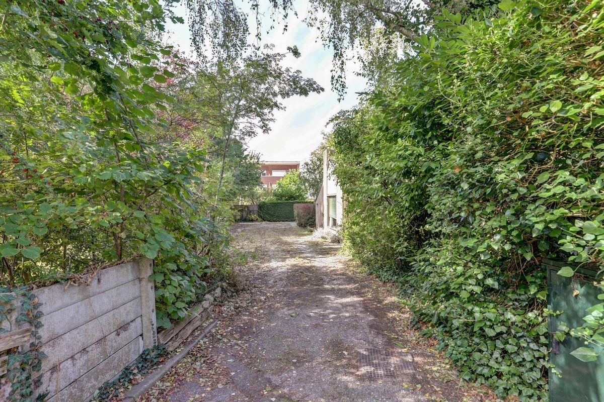 Stougjesdijk 251 Photo 30