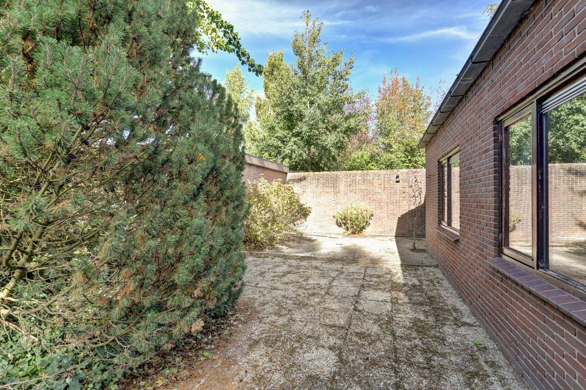 Stougjesdijk 251 Photo 26