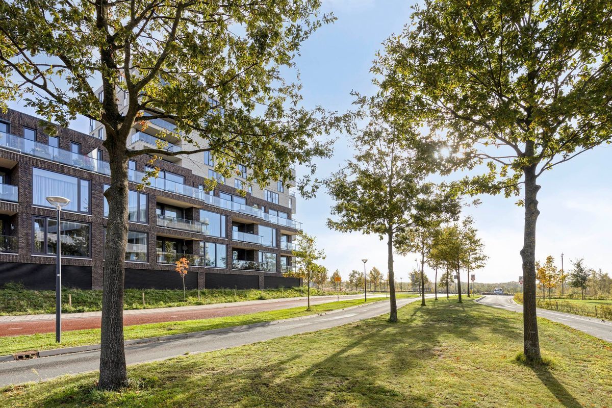 Beemdkroon 160 Photo 44