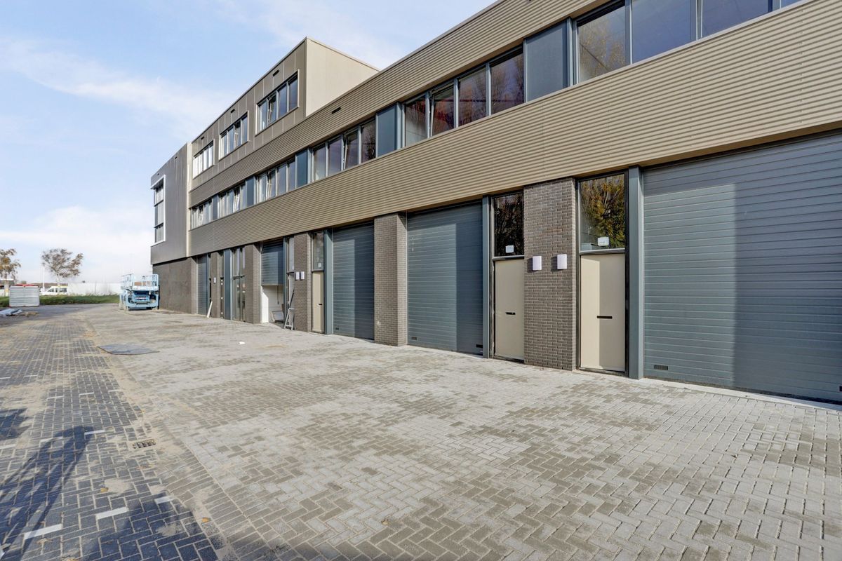 Reedijk 8 - F 31 Photo 8