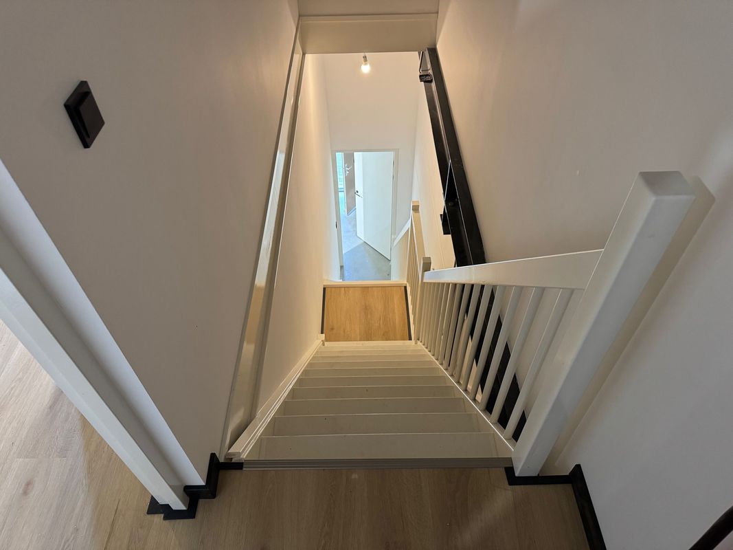 Reedijk 8 - F 31 Photo 9