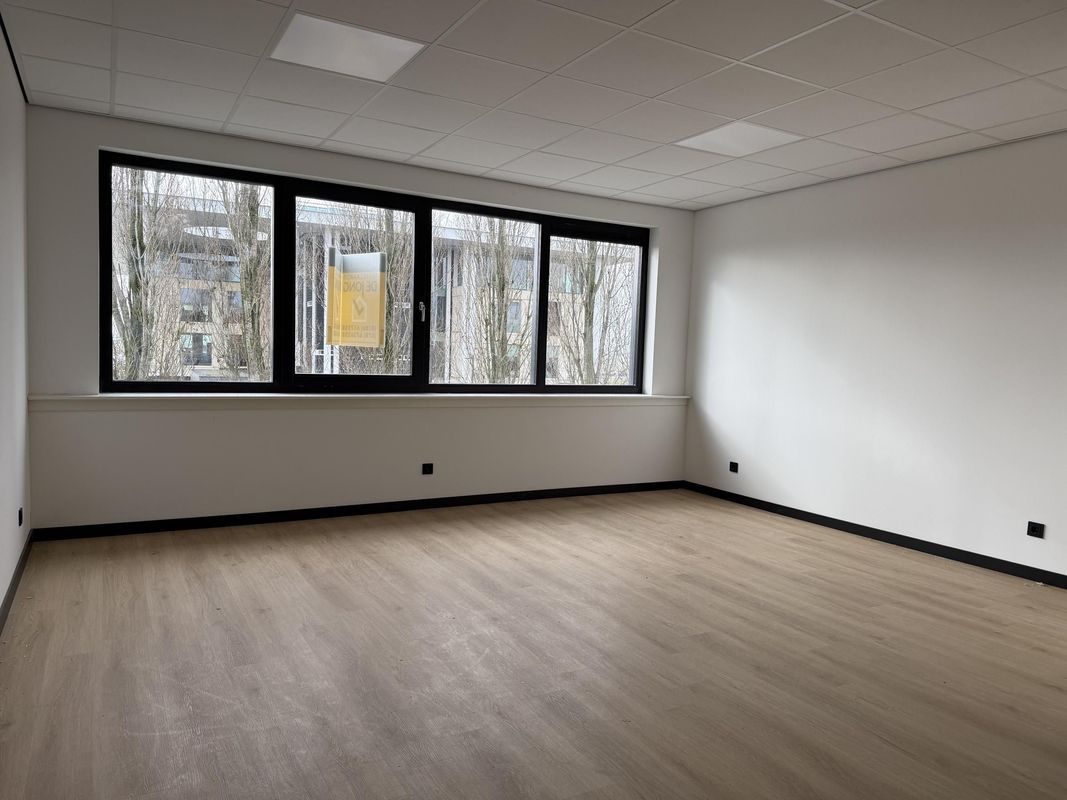 Reedijk 8 - F 31 Photo 3