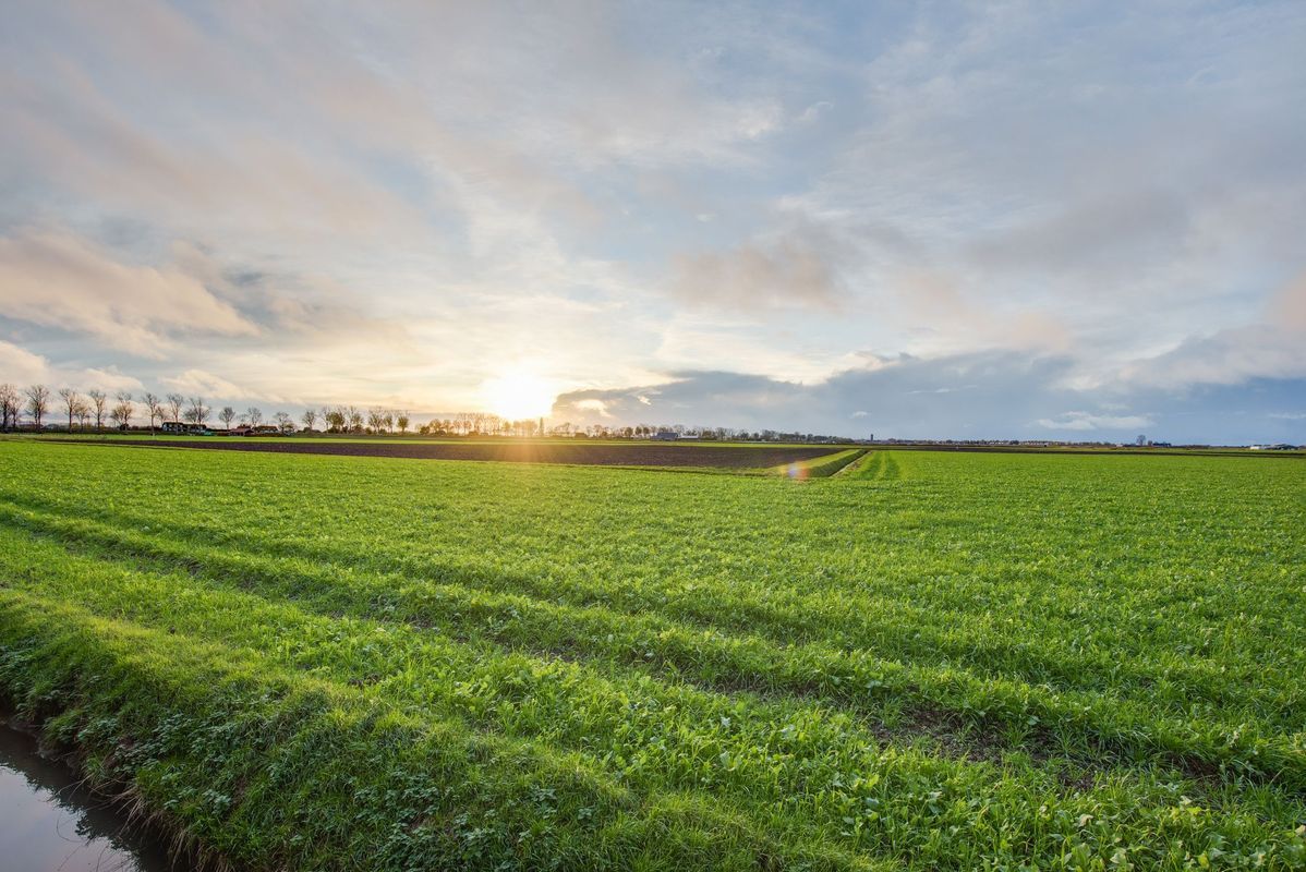 Oudendijk 65 Photo 37