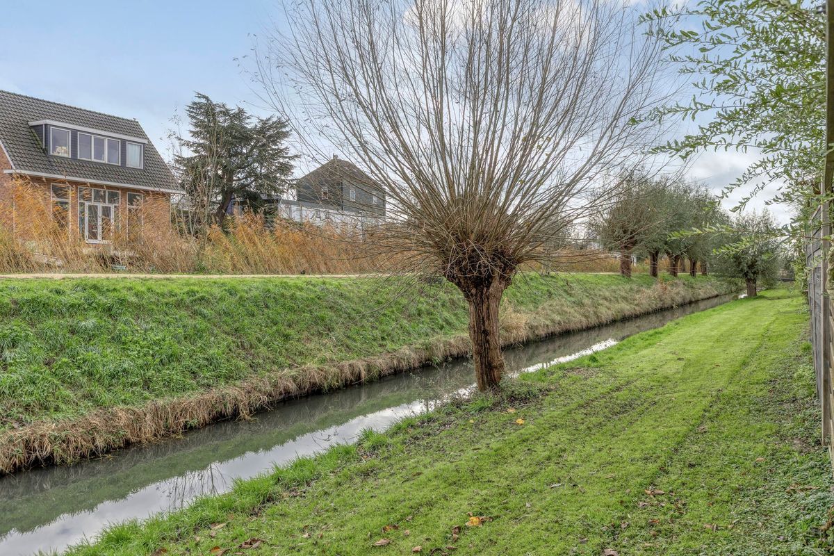 Andromeda 26 Photo 38