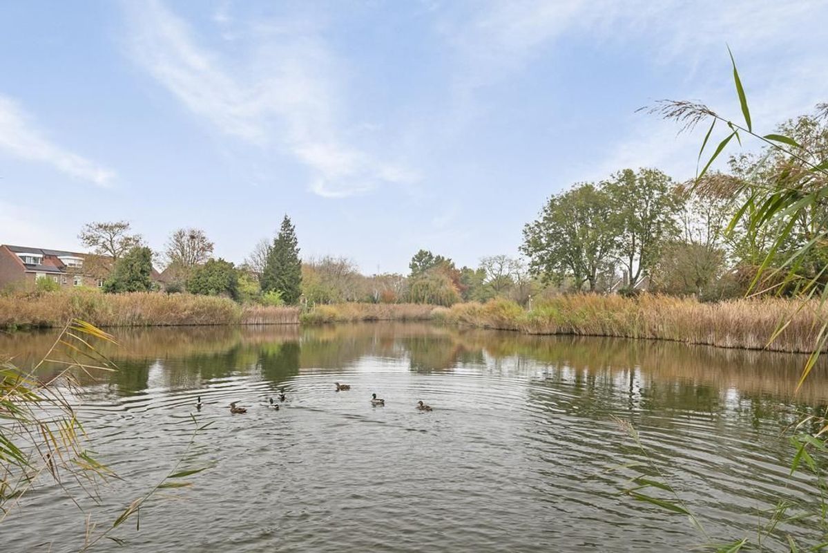 Zoomwijcklaan 102 Photo 28