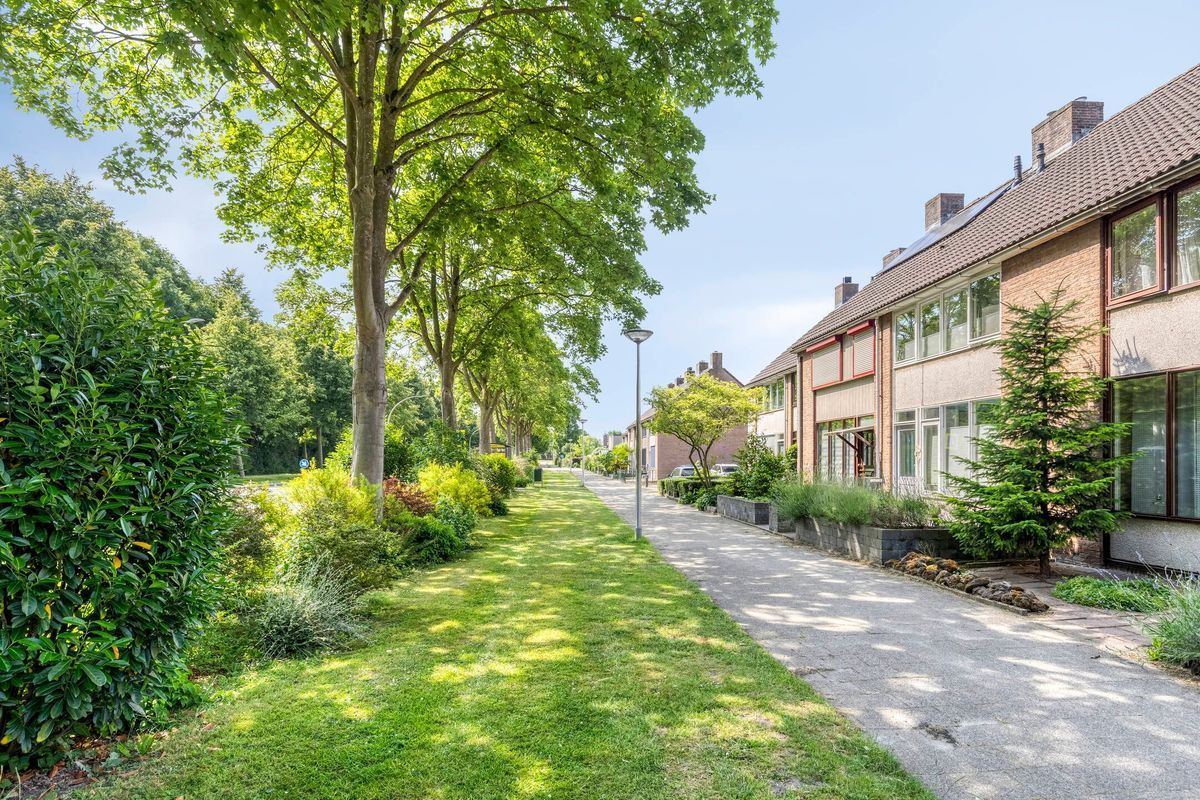 Lange Meet 46 Photo 4