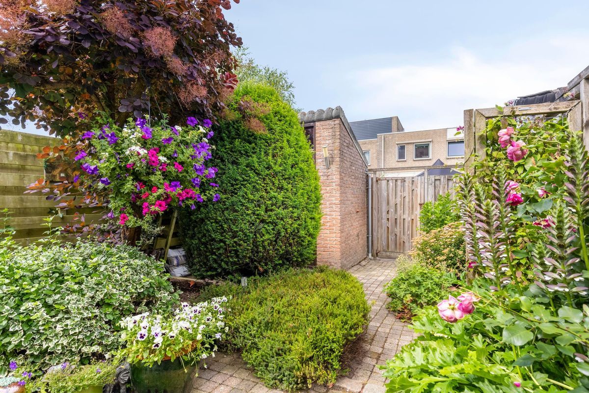 Lange Meet 46 Photo 28