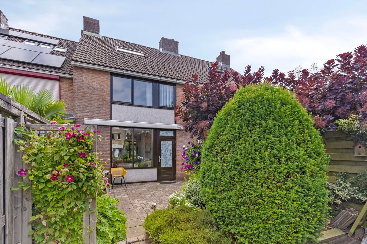 Lange Meet 46 Photo 2