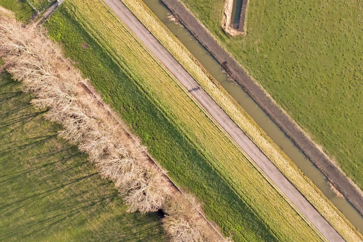 Pijlstaart 7 Photo 42