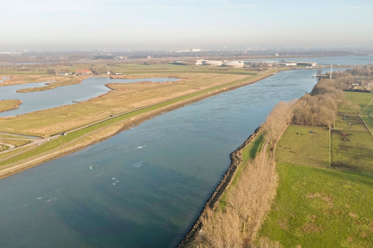 Pijlstaart 7 Photo 47