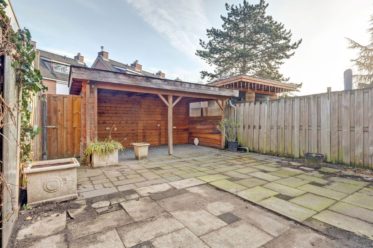 Pijlstaart 7 Photo 36