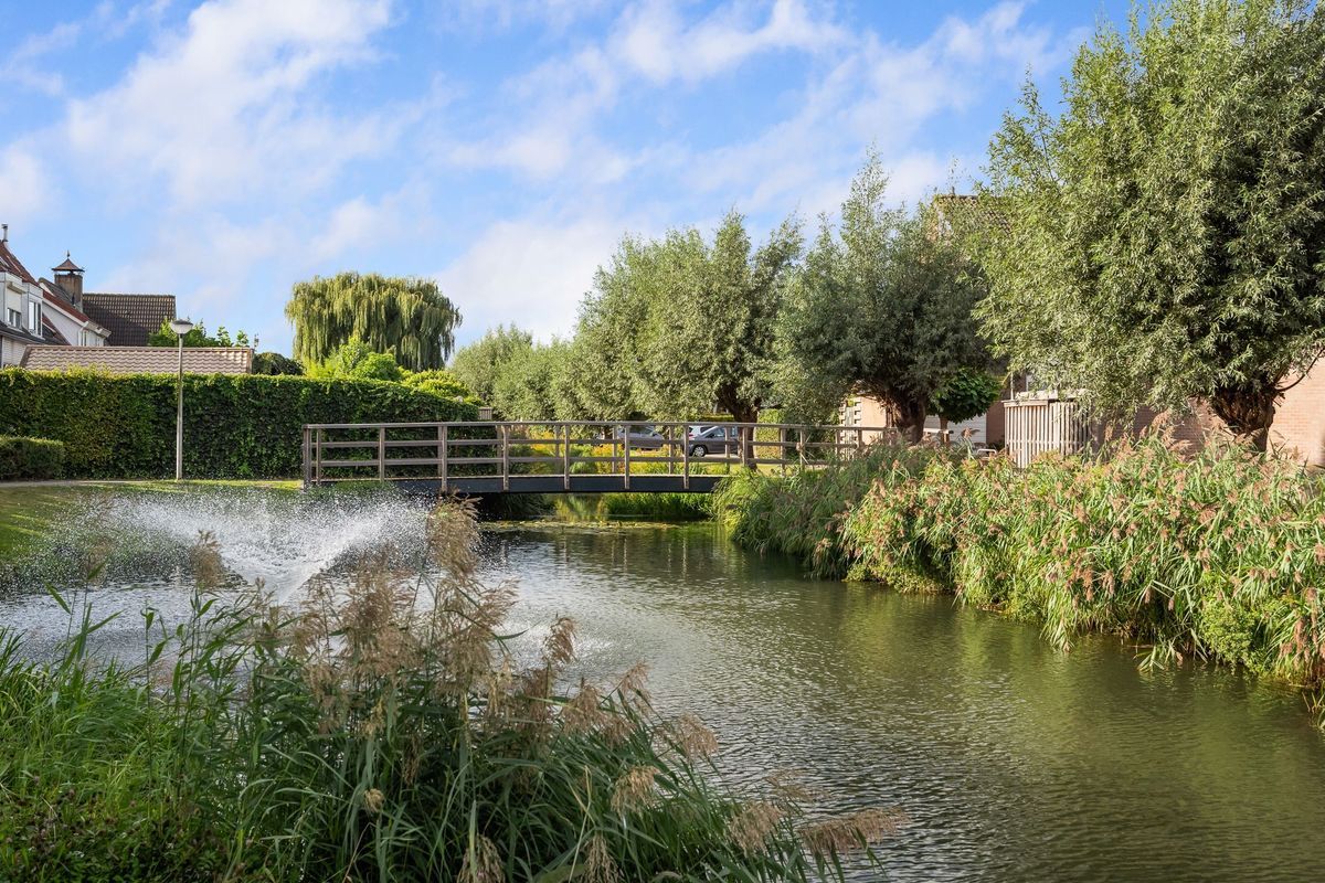 Korenmaaier 5 Photo 42