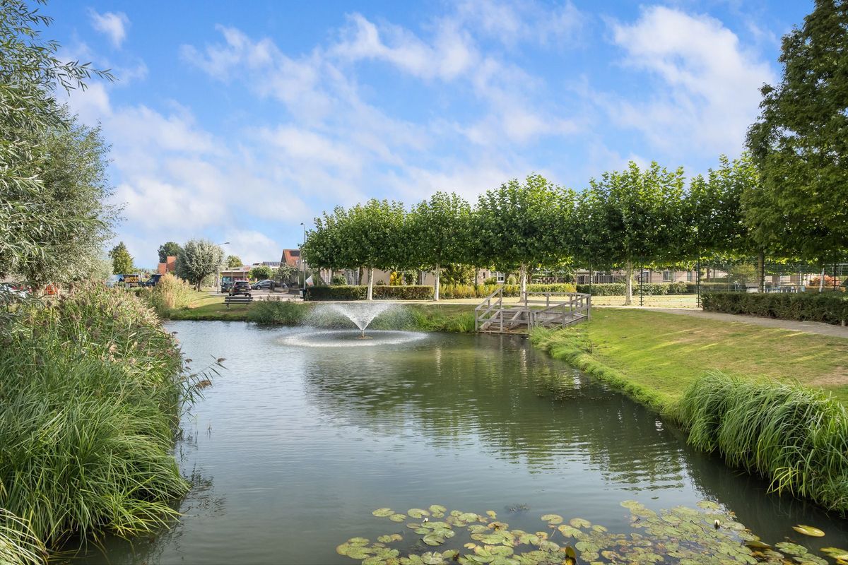 Korenmaaier 5 Photo 43