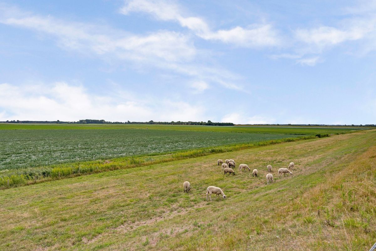 Korenmaaier 5 Photo 48