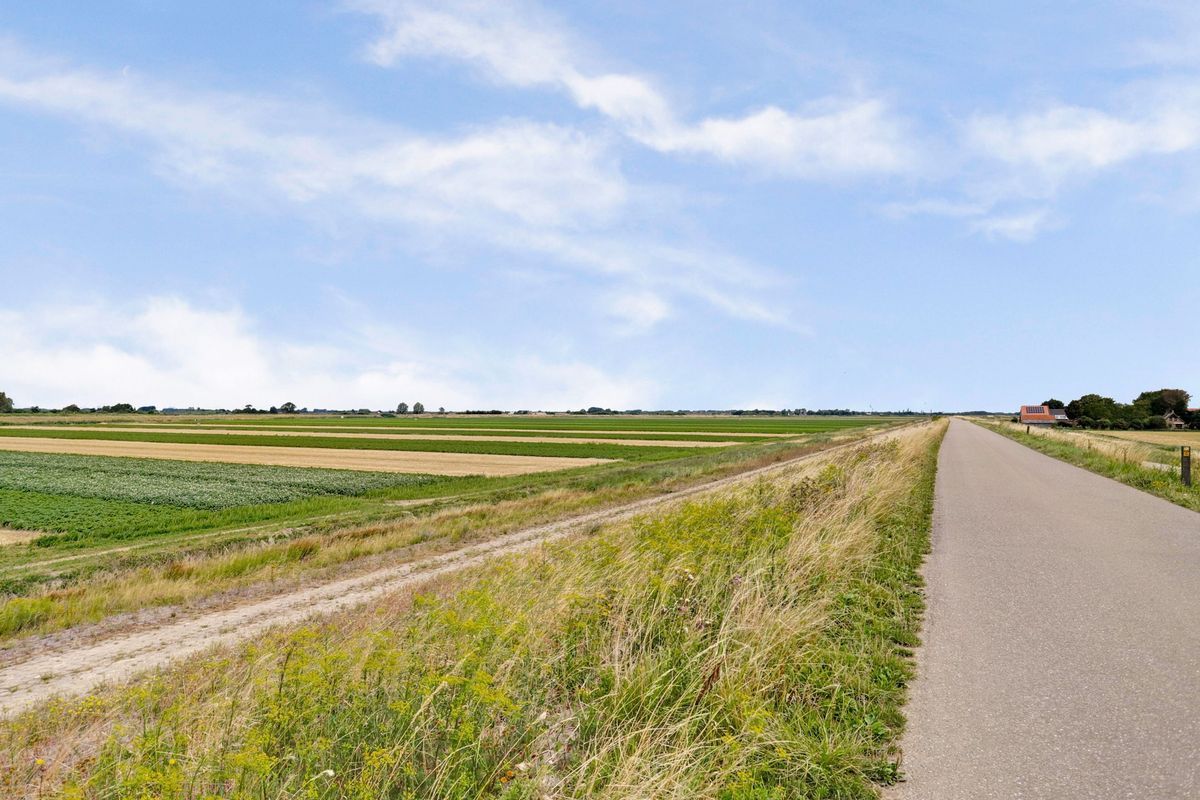 Korenmaaier 5 Photo 49