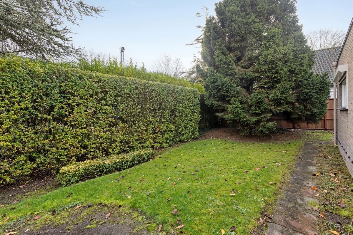 Hazelaarstraat 4 Photo 17