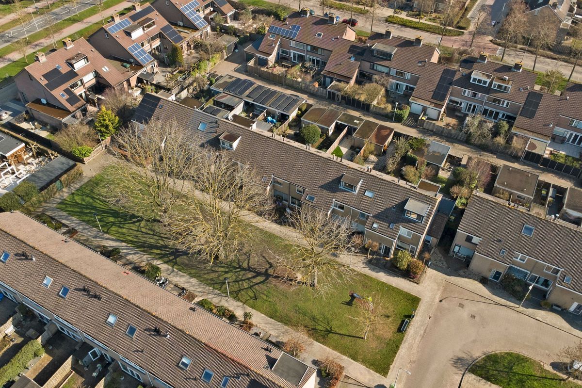 Zandgors 23 Photo 30