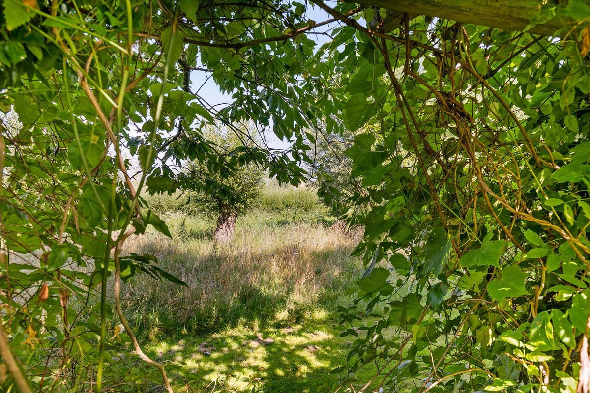 Kloosring 26 Photo 33