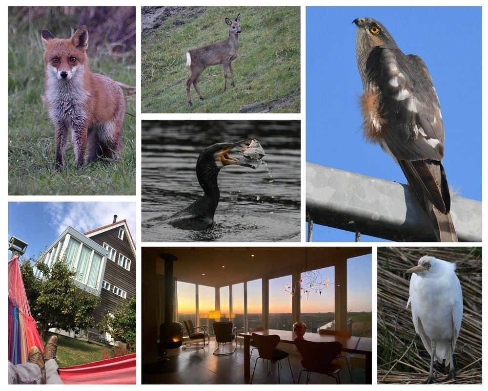 Oudendijk 4 Photo 66