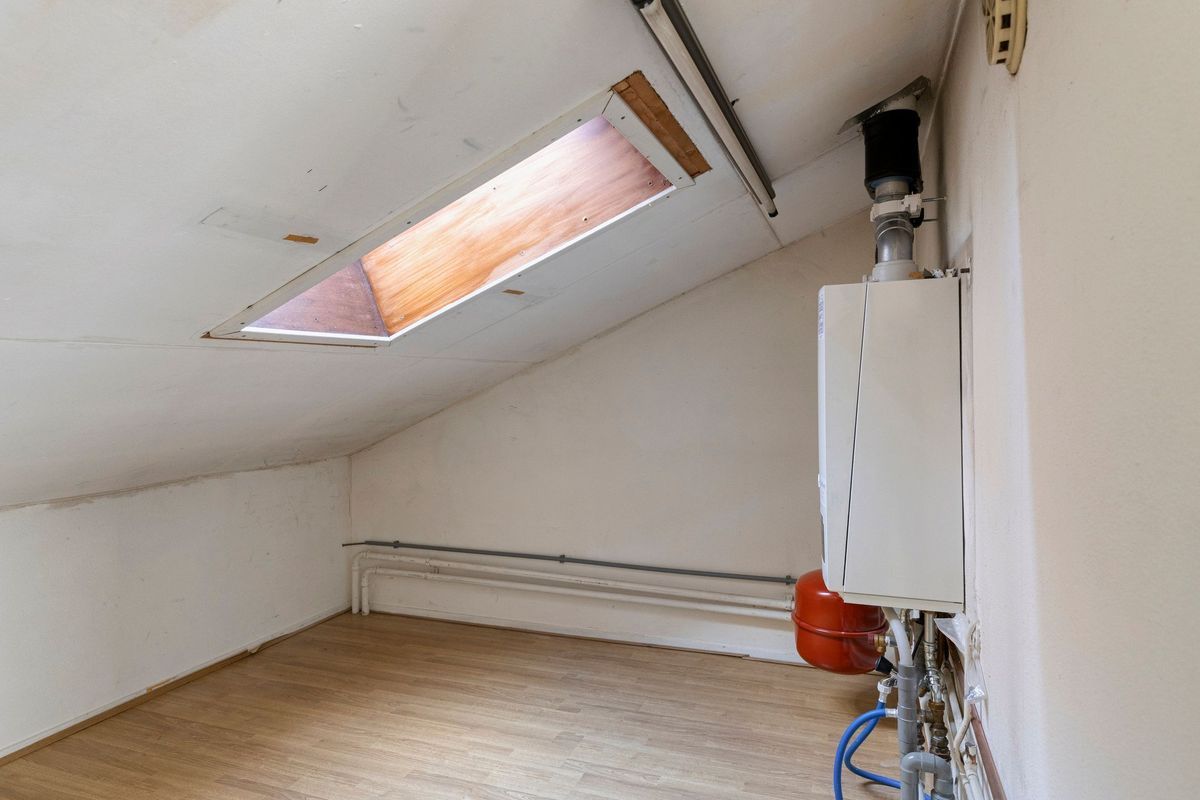 Andromeda 26 Photo 33