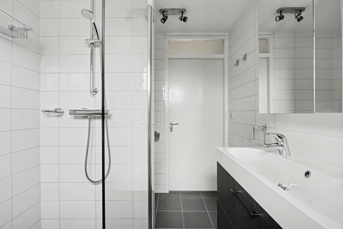 Lepelaar 28 Photo 26