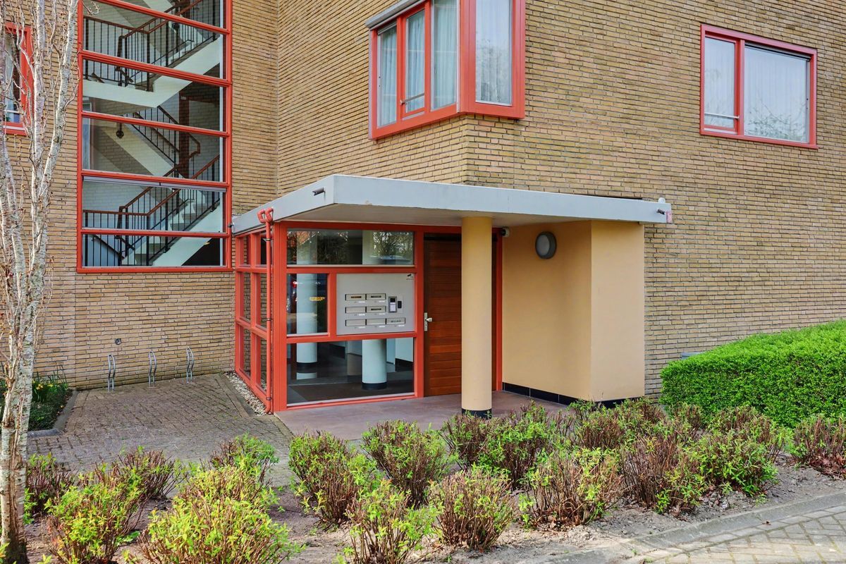 Dokter Kroesenring 50 Photo 2