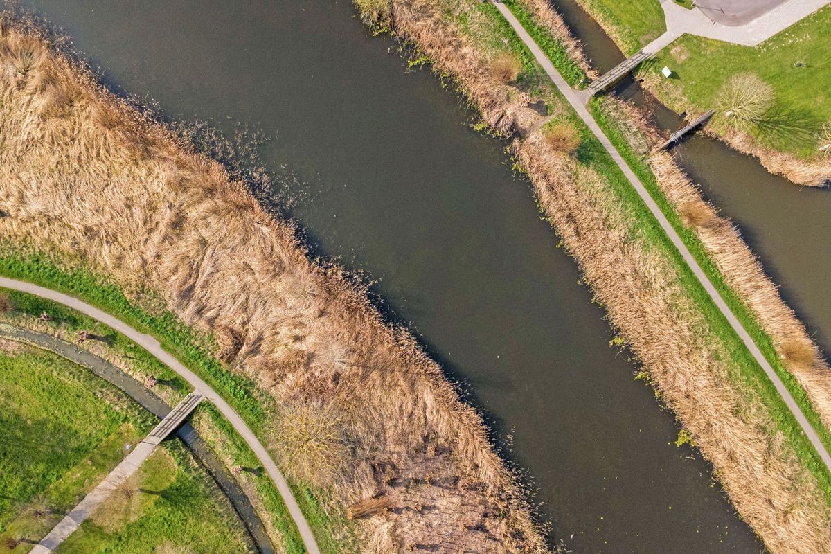 Dokter Kroesenring 50 Photo 33