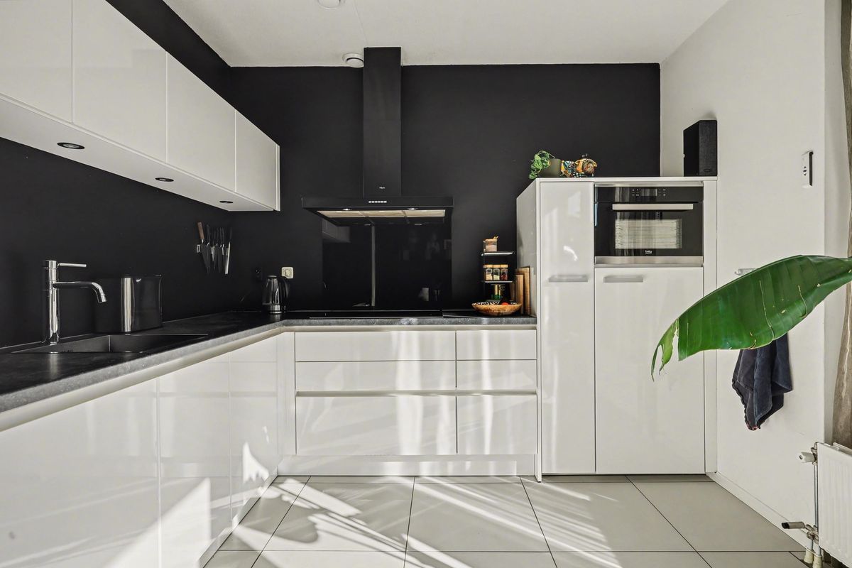 Kaapstander 20 Photo 3