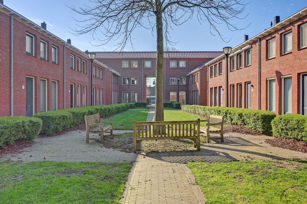 Kaapstander 20 Photo 29