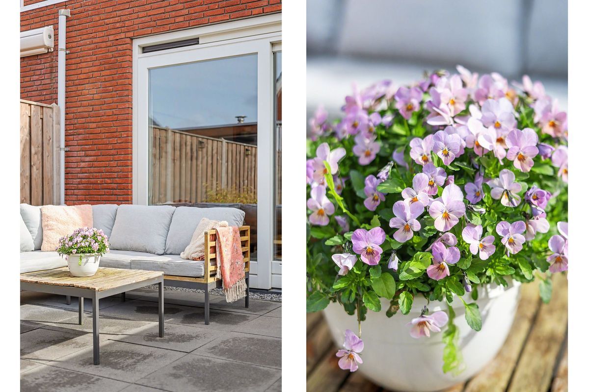 Philip van Dijkhof 19 Photo 30