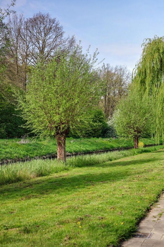 Bootstraat 3 Photo 34