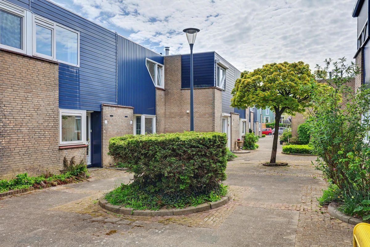 Meestoof 16 Photo 22