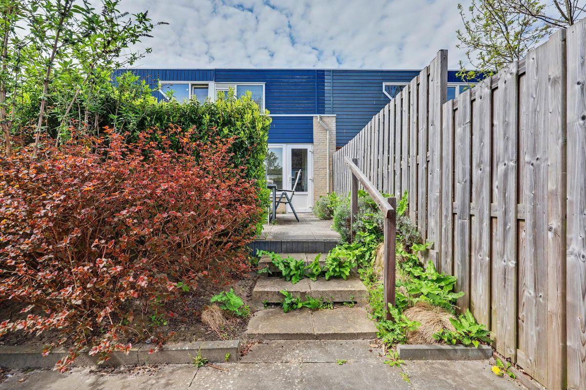 Meestoof 16 Photo 20