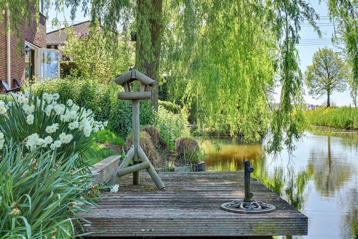 De Grienden 32 Photo 38