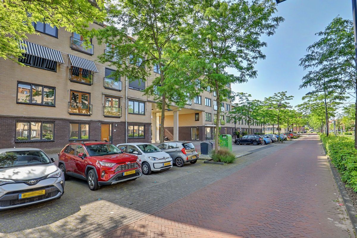 Avenue Carré 182 Photo 8