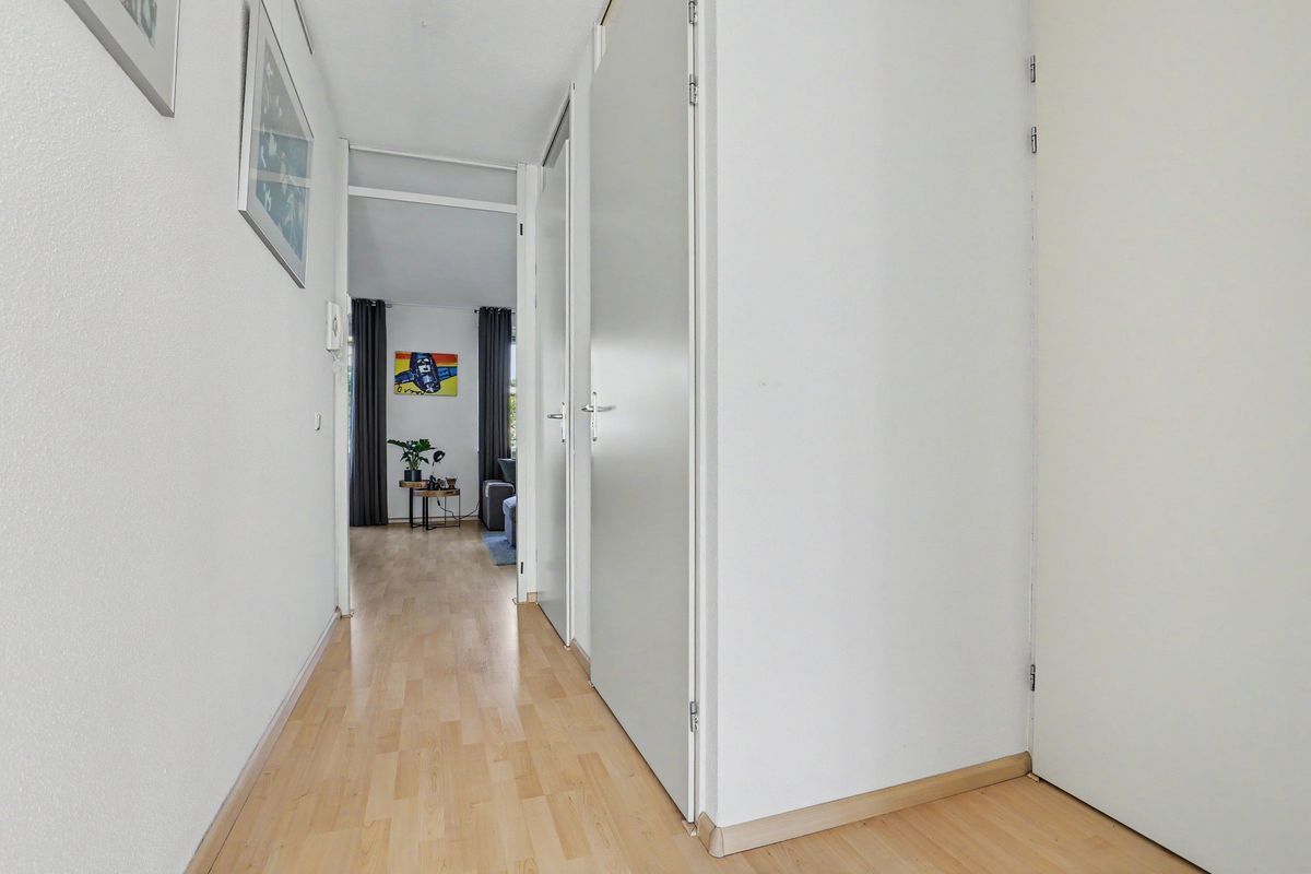 Avenue Carré 182 Photo 12
