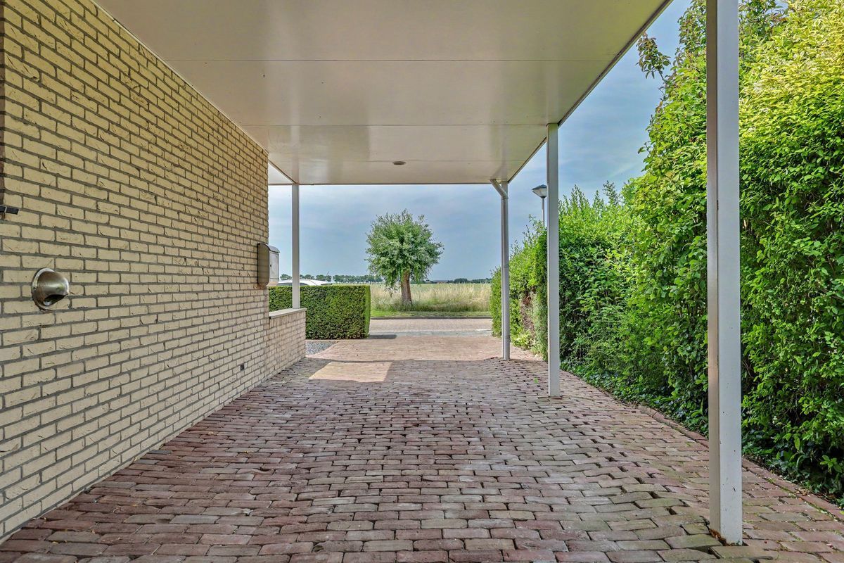 Seggegors Photo 50