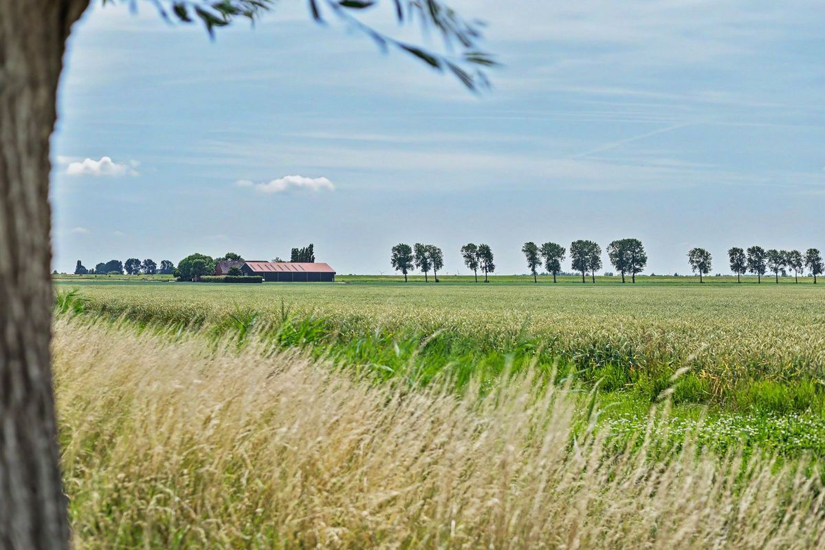 Seggegors Photo 52