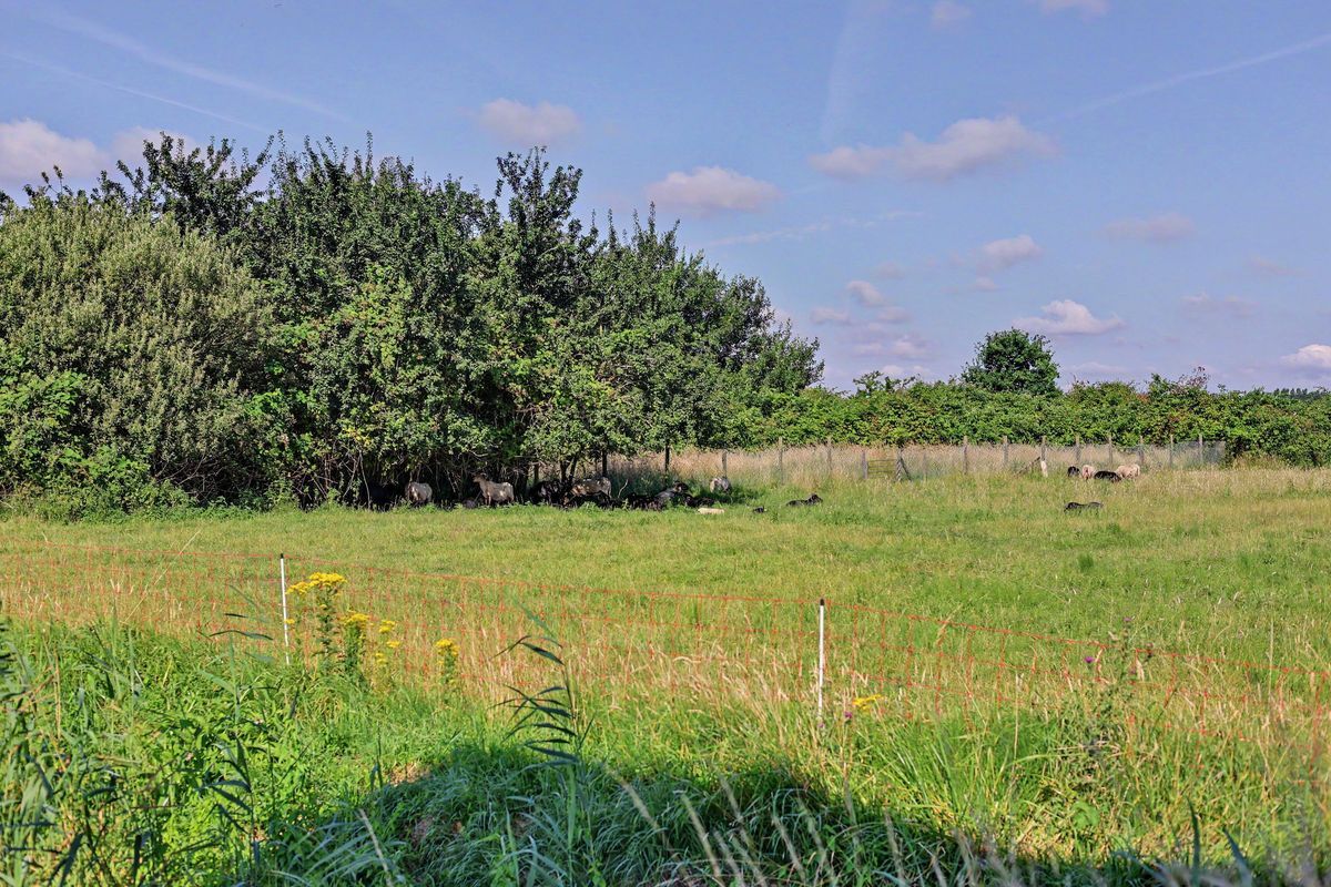 Griendweg 43 - K Photo 12