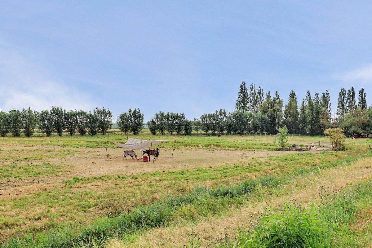 Zinkweg 159 Photo 41