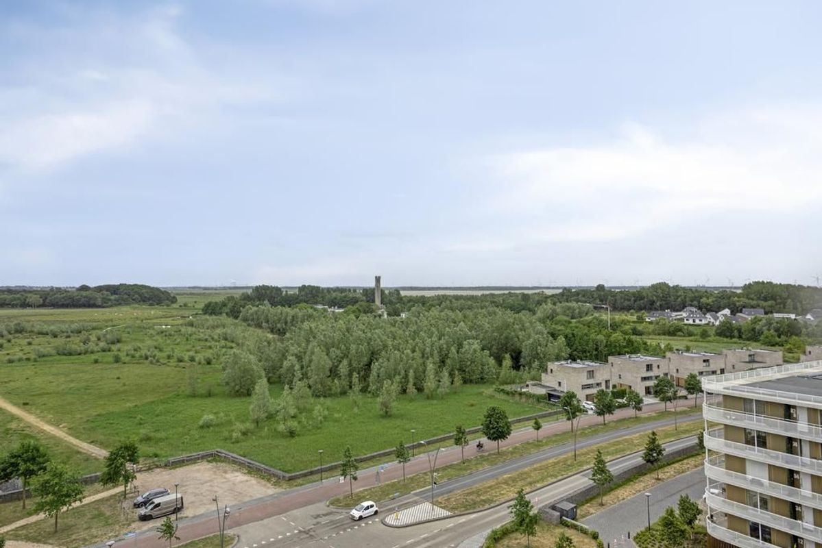 Beemdkroon 208 Photo 33