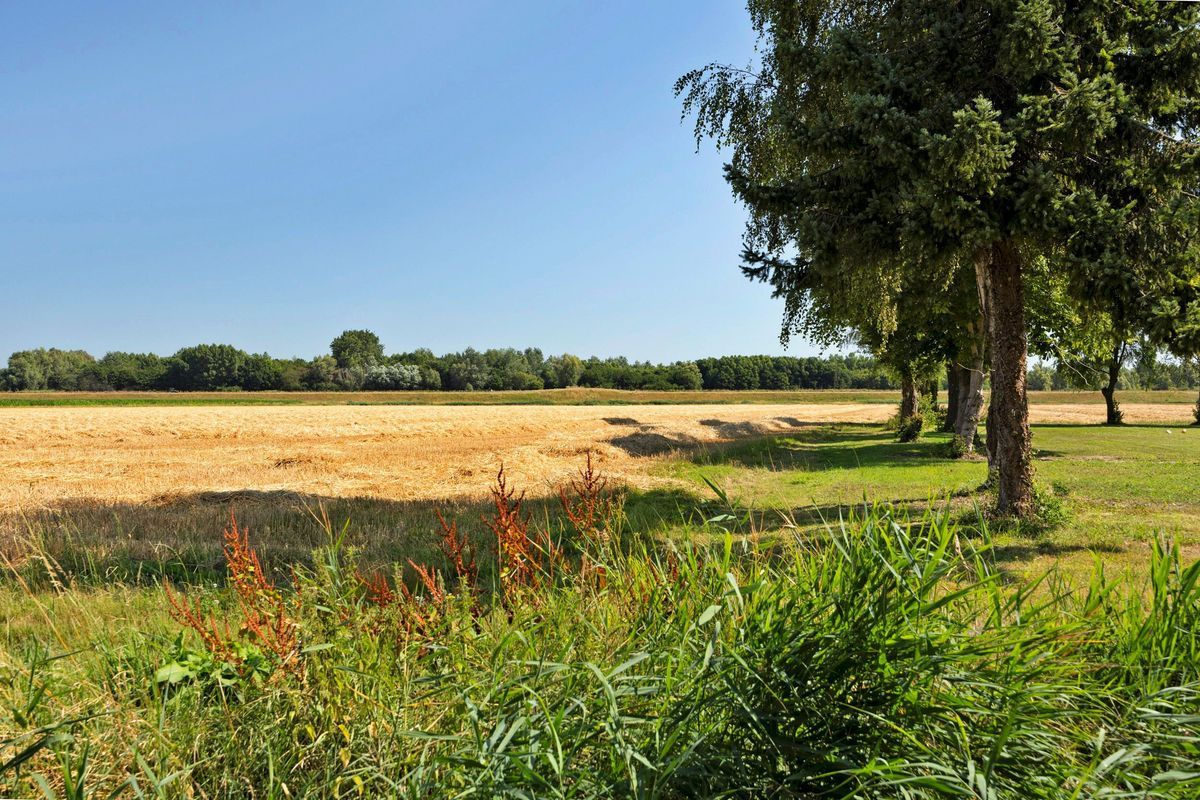 Molendijk 40 Photo 10