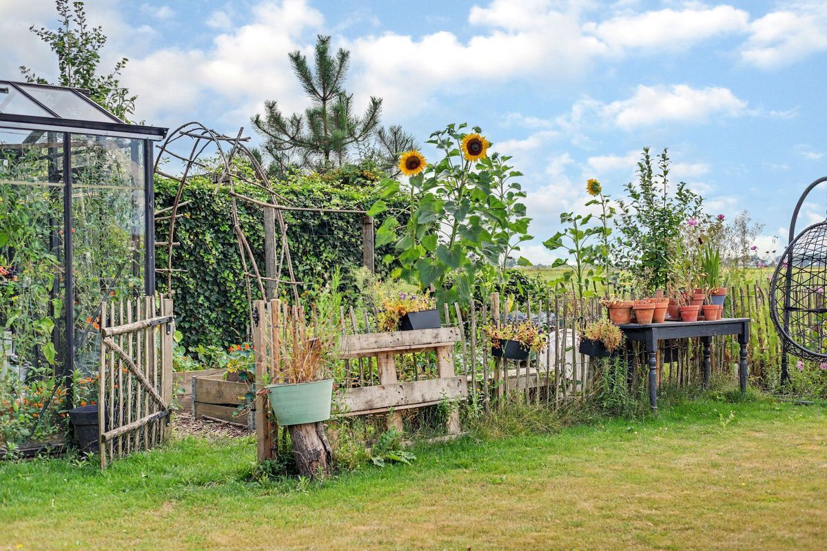 Kuipersveer 25 Photo 47