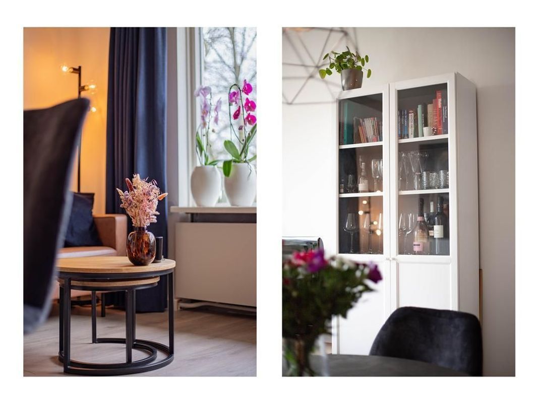 Livingstonelaan 496 Photo Blur 4