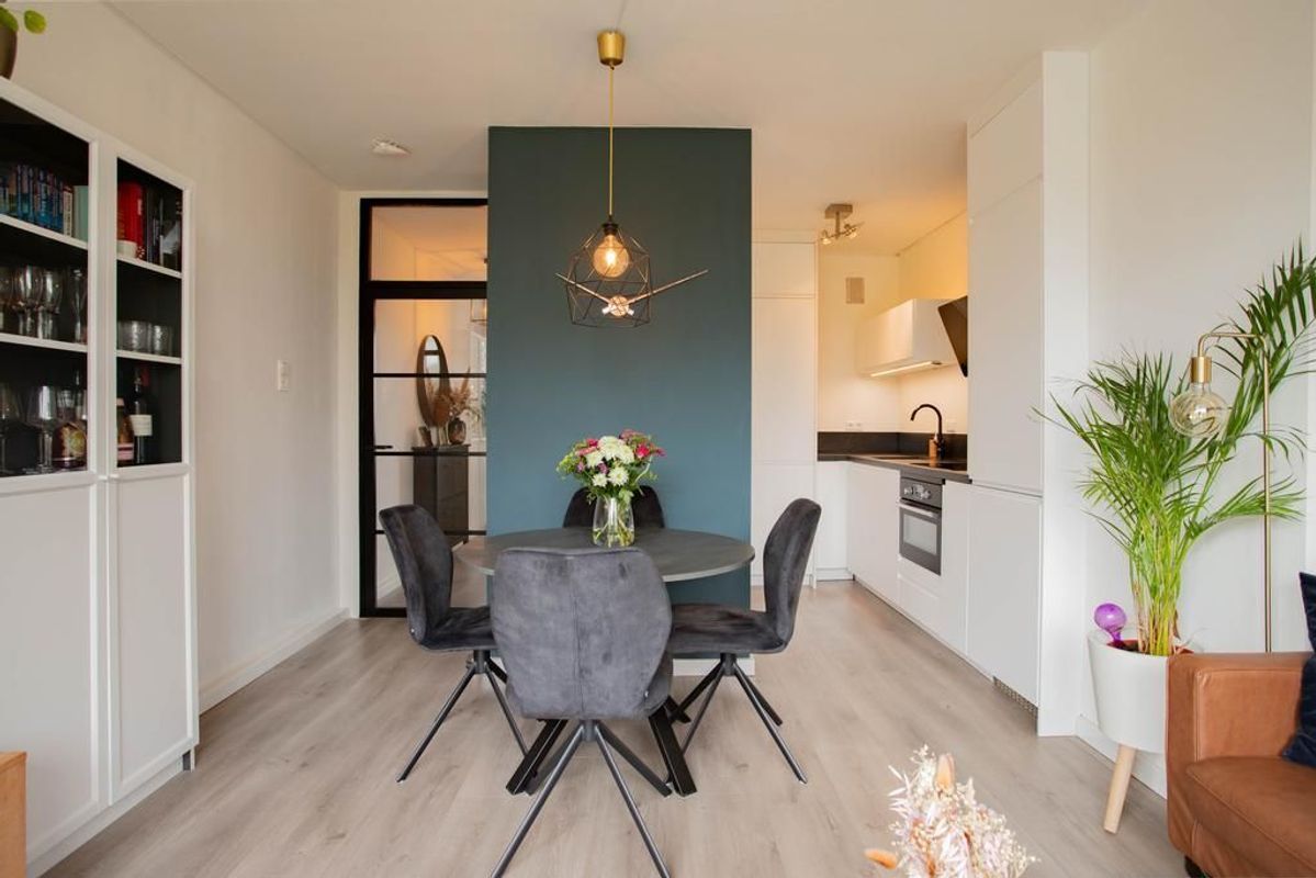 Livingstonelaan 496 Photo Blur 6